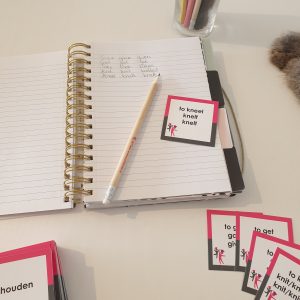 Flitskaartjes